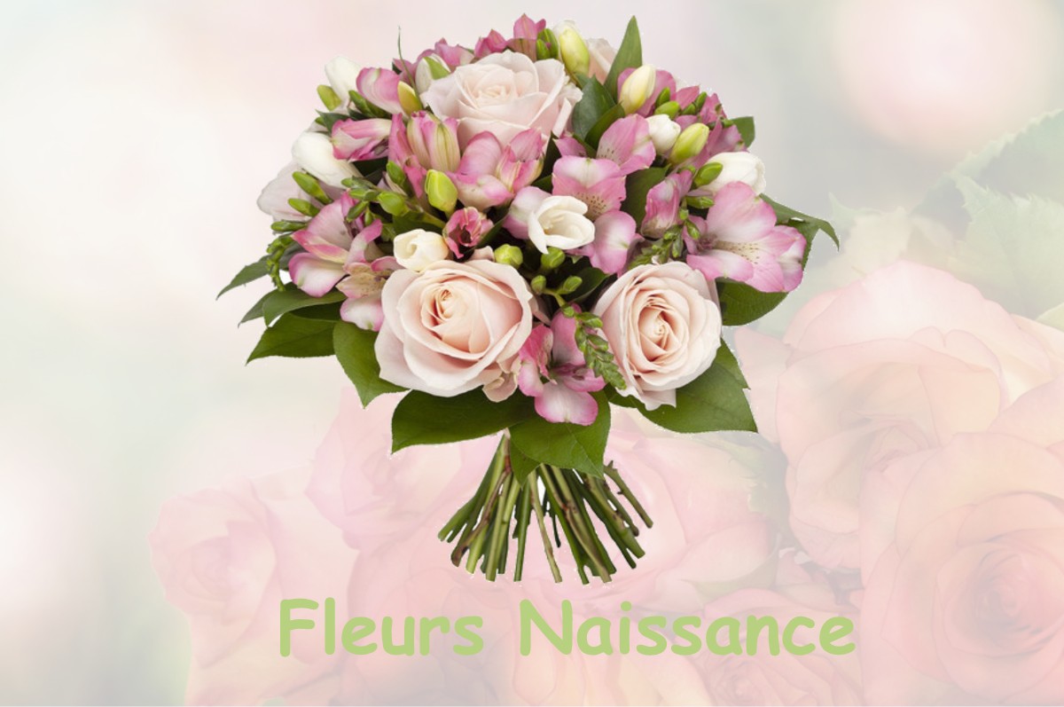 fleurs naissance PECORADE