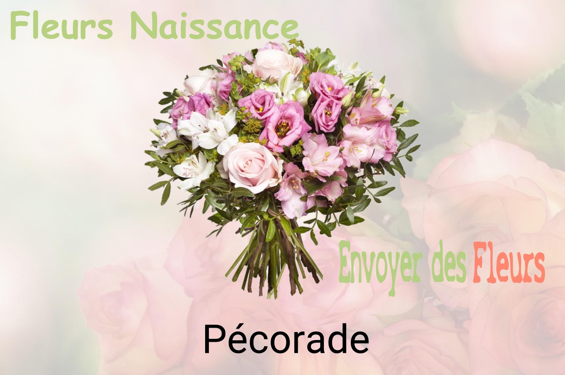 Bouquet de fleurs de naissance livré à Pécorade