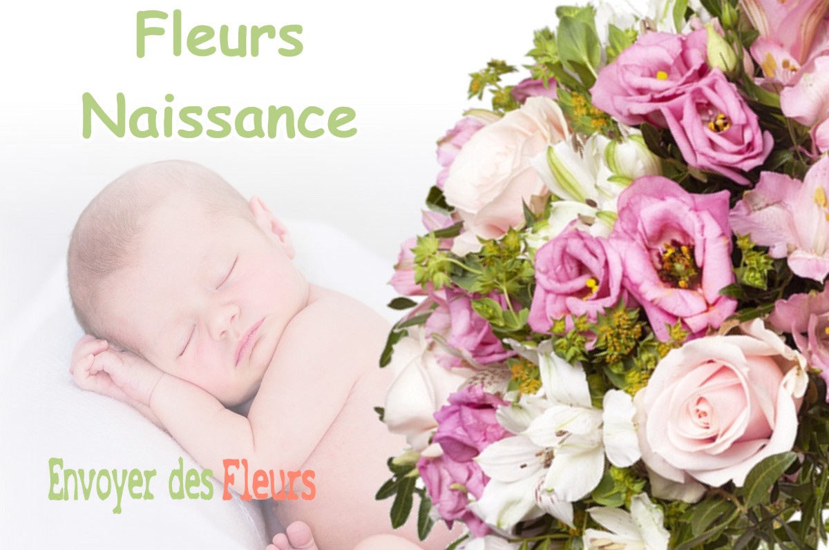 lIVRAISON FLEURS NAISSANCE à PECORADE